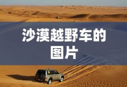 沙漠越野车的图片