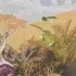 怪物猎人荒野大回复蜜虫在哪-如何捕获大回复蜜虫