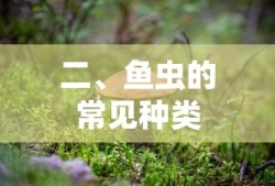 泰拉瑞亚灾厄mod怎么安装