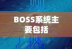 BOSS系统主要包括