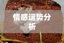 手游中的语音挂机功能，便捷与风险并存