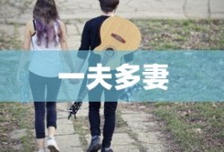 一夫多妻