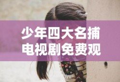 少年四大名捕电视剧免费观看
