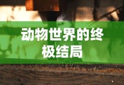 动物世界的终极结局，生态平衡的最终归宿