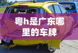 粤h是广东哪里的车牌