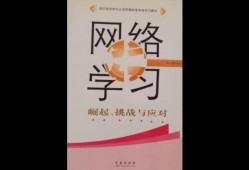 蛮王符文，英雄联盟中的独特魅力，英雄联盟中的蛮王符文，独特魅力解析