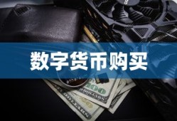小米10 Apex手游优化设置与流畅游戏体验攻略