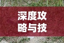 全员加速中2025