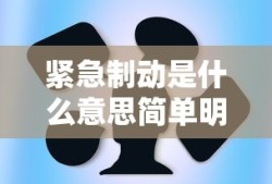 洛克王国毛懒懒几点出现