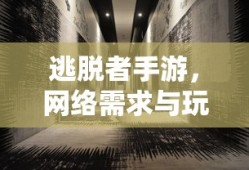 逃脱者手游，网络需求与玩家体验的深度探索