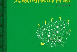 人人折网，探索与创新的无限可能