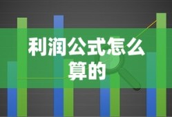 利润公式怎么算的