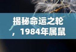 海贼王第1080集免费观看动漫
