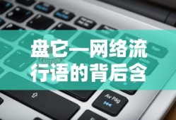 盘它，网络流行语背后的含义