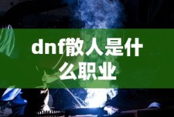 dnf散人是什么职业