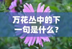 孤胆车神维加斯手游下载