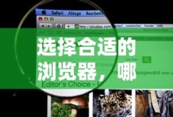 如何选择合适的浏览器，哪个浏览器更适合我？