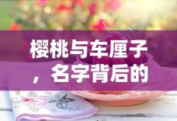 樱桃与车厘子，名字背后的故事