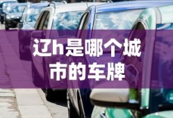 辽h是哪个城市的车牌