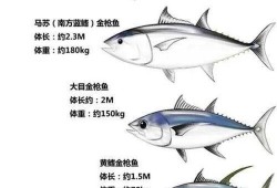 苍蓝决