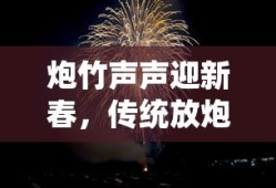 力帆汽车620怎么样