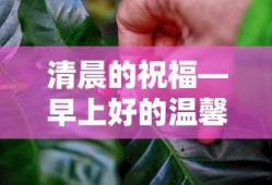清晨的祝福，温馨的早上好说说