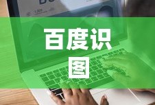 百度识图，探索图像世界的利器