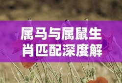 全民奇迹手游，官网探索与无尽游戏魅力
