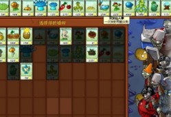 植物大战僵尸杂交版冒险第20关怎么过