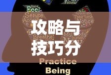 中央cctv5直播在线观看中国男篮theach