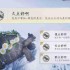 燕云十六声凉州成就 新成就久点好啊怎么完成