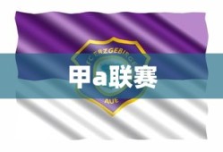 甲a联赛
