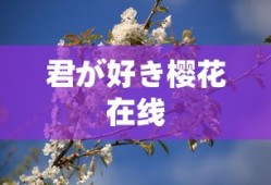 君が好き樱花在线