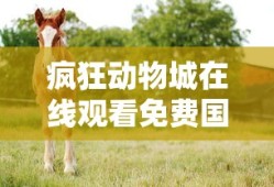 疯狂动物城在线观看免费国语版