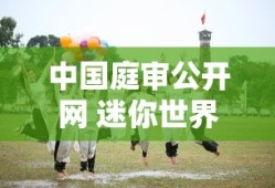 中国庭审公开网 迷你世界