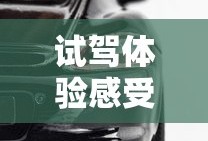 试驾体验感受怎么写