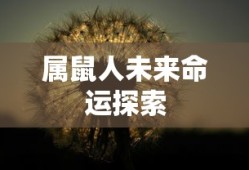 少女前线阵容搭配2023