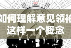 理解意见领袖这样一个概念