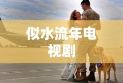 似水流年电视剧