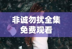 非诚勿扰全集免费观看