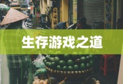 春运抢票攻略，掌握技巧，轻松抢多张车票