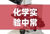 fgo伊利亚活动