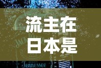 流主在日本是什么意思