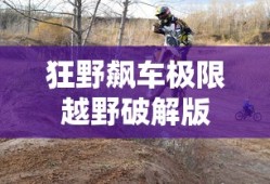 狂野飙车极限越野破解版