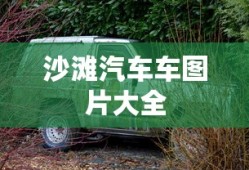 沙滩汽车车图片大全