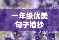 一年级优美句子摘录精选