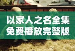 以家人之名全集免费播放完整版