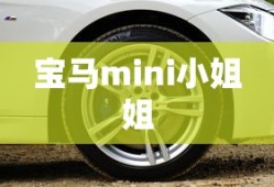 宝马mini小姐姐