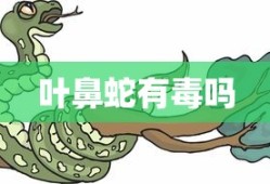叶鼻蛇有毒吗