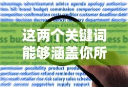 网络漏洞下单的风险与挑战